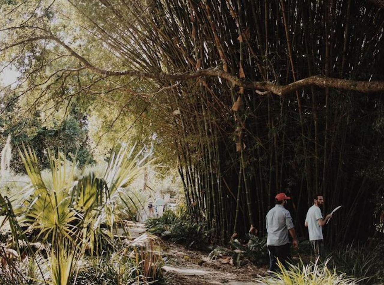 Kanapaha Botanical Gardens
4700 SW 58th Drive, Gainesville, (352) 372-4981
This botanical haven is home to all things green and good under the sun, from giant lily pads to a gigantic live oak perfect for picnicking under. 
Photo via sanitation.stormtrooper/Instagram