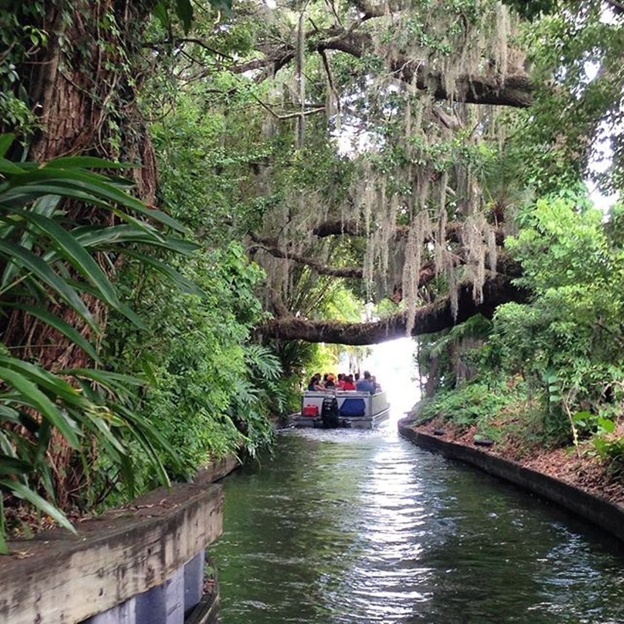  Scenic Boat Tour 
312 East Morse Blvd., Winter Park, 407-644-4056, $14 
Go on an 18-passenger pontoon boat ride through three of the seven lakes and two canals in Winter Park. While you may get lucky and spot cranes or alligators during the tour, you&#146;ll definitely see large cypress trees, swaying palms, lush sub-tropical flowers and views of extravagant homes along the banks. Tours leave on the hour from 10 a.m. to 4 p.m.  
Photo via babycat4everz/Instagram