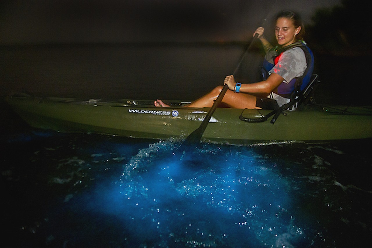  Dino Bioluminescent Kayak Tour 
Launches from Haulover Canal or Beacon 32, 321-268-2655,  $36.96-$39.95 for adults, $26.95-$29.95 for children 
In the summer, the Indian River and Mosquito Lagoon glow. Just simply swirling your hand underwater causes produces light. The kayak tour lasts anywhere from 90 minutes to two hours. Make sure to call in advance as this is a popular trip during the summer for tourists and Florida residents alike.
Photo via A Day Away Kayak Tours/Facebook