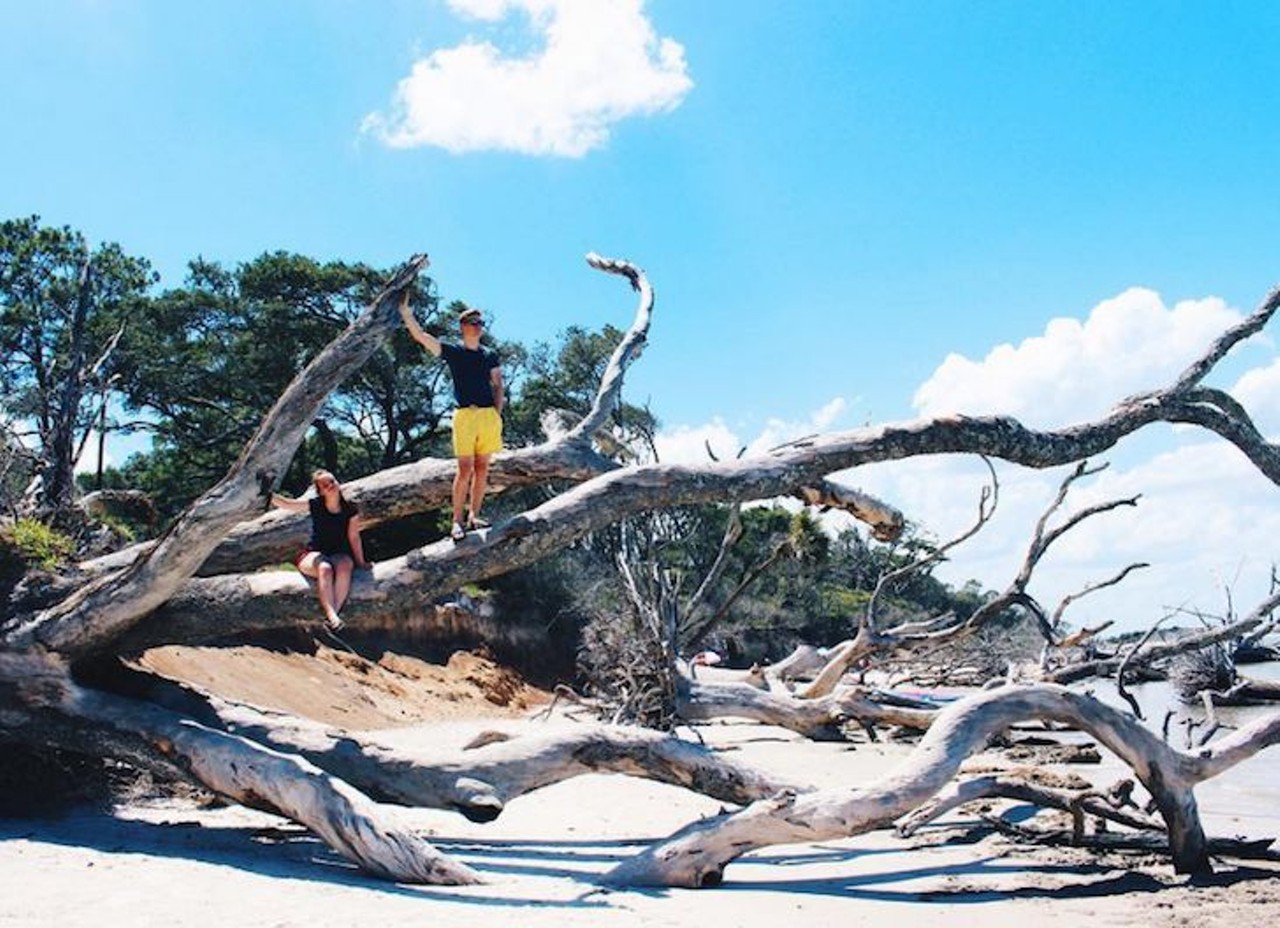 Boneyard Beach
2 hours, 40 minutes away
The gnarly branches that have washed up on this beach make pretty good jungle gyms. Or, if you&#146;re looking for something more relaxing, string up a hammock on one of those bad boys and catch a little beachside snooze. 
Photo via megii.g/Instagram