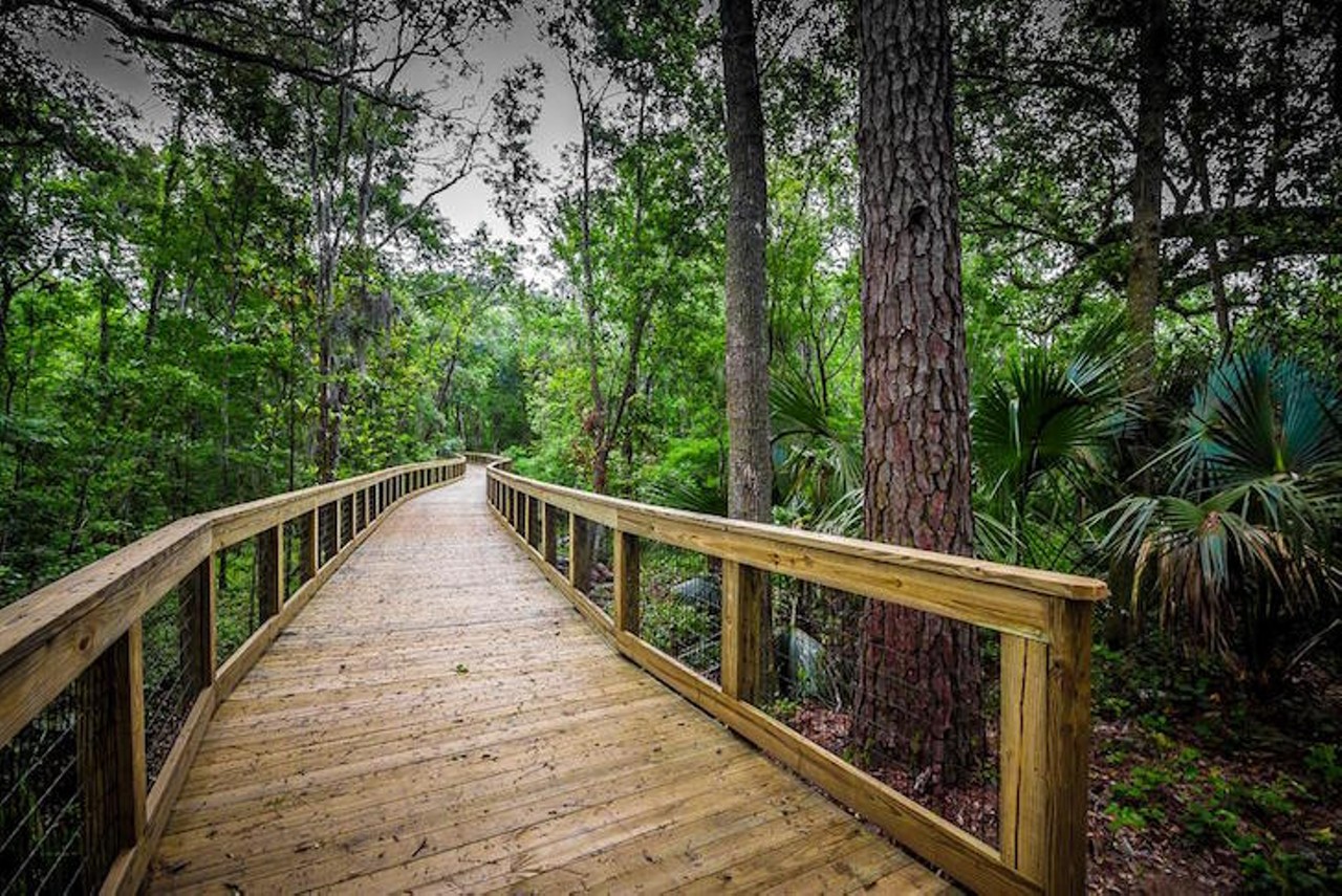 Tree Hill Nature Center
7152 Lone Star Road, Jacksonville | 904-724-4646
This nature center has a bunch of different trails, but it would be a crime not to venture over their mammoth boardwalk. And get ready to pet some goats and turtles at the end of your boardwalk trek&#151;they're the ones running the show here.
Photo via Tree Hill Nature Center Facebook