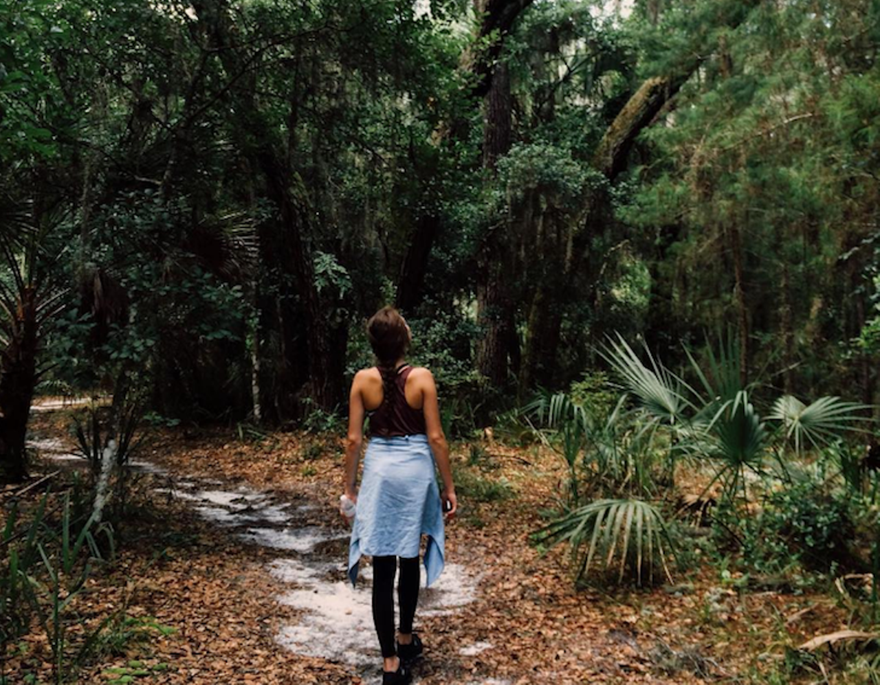 Econ River Wilderness
3795 Old Lockwood Road, Oviedo, FL 32765
Tucked away between strip malls and gated communities in the Orlando suburbs, this trail offers a chance to explore the wonders of Florida wildlife while meandering down a winding river.
Photo via ky.crate/Instagram