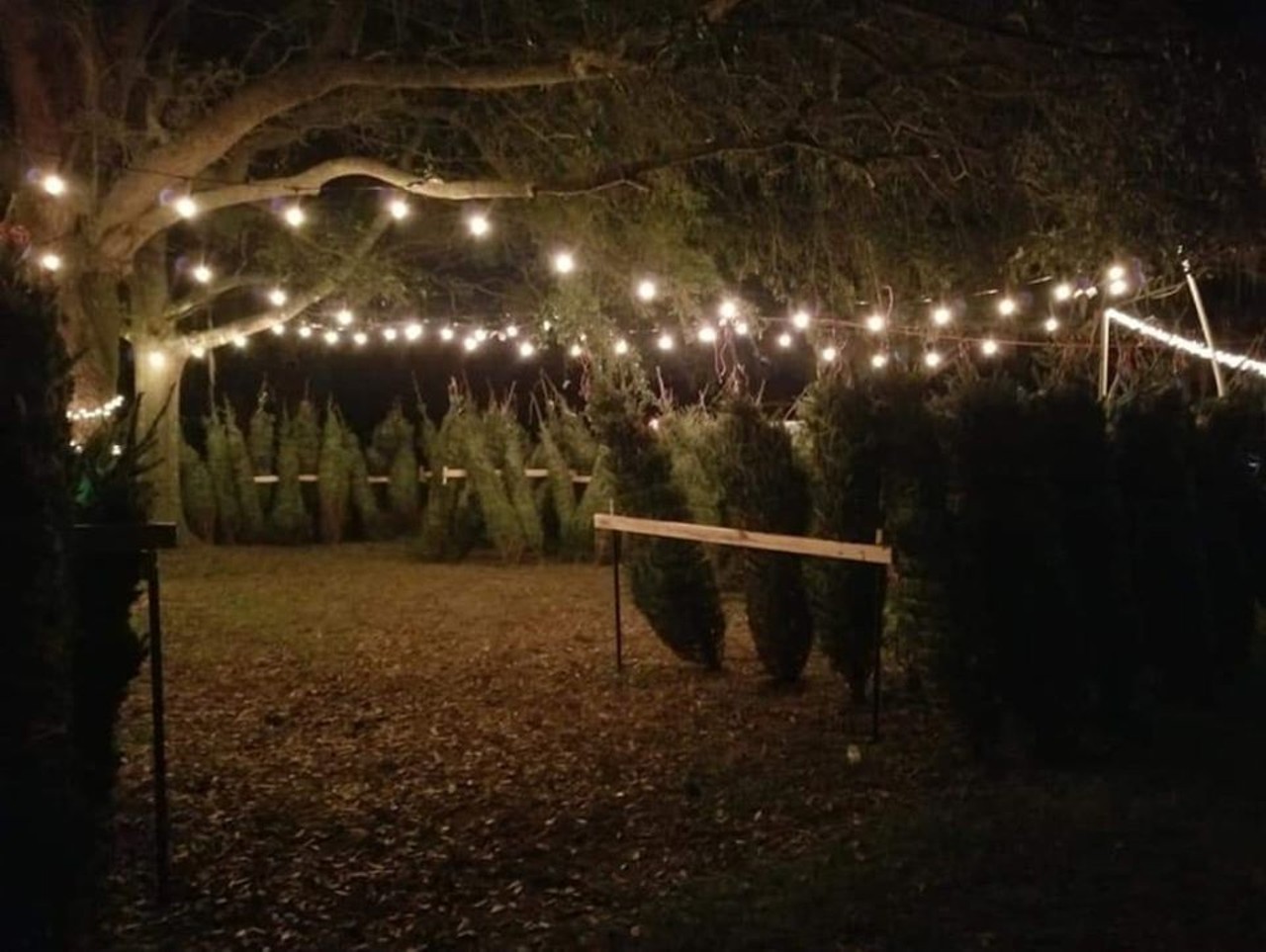 A Southern CHRISTmas Tree Farm
274000 Murrhee Rd., Hilliard, Florida 32046, 904-845-7447
There will be lots to see and do at this farm, like hay rides, petting zoos and, of course, picking and cutting trees. You can start making memories with them on Nov. 29 and join them for a wreath making class on Dec. 2.
Photo via A Southern CHRISTmas Tree Farm/Facebook
