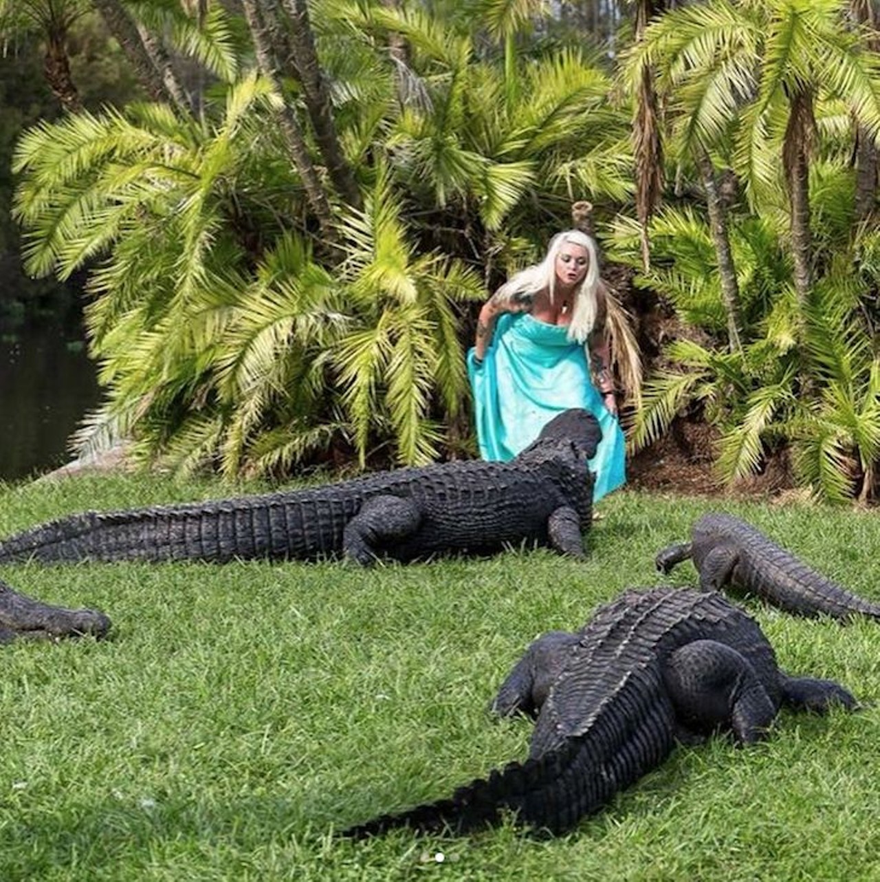 @savannahboan
Follow the life of a Gatorland animal education ambassador and her love for alligators.