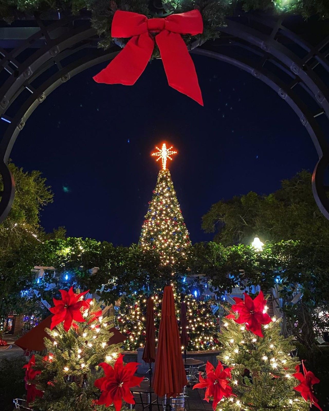 25 places to see Christmas lights in Orlando this holiday season