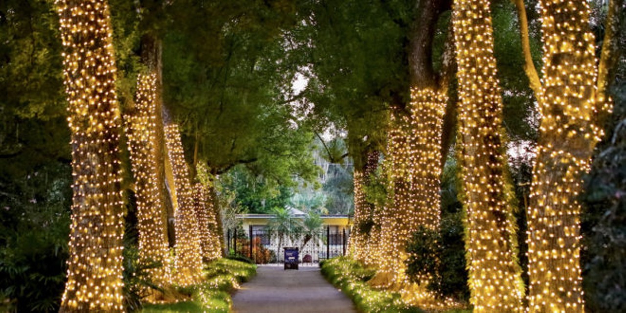 25 places to see Christmas lights in Orlando this holiday season