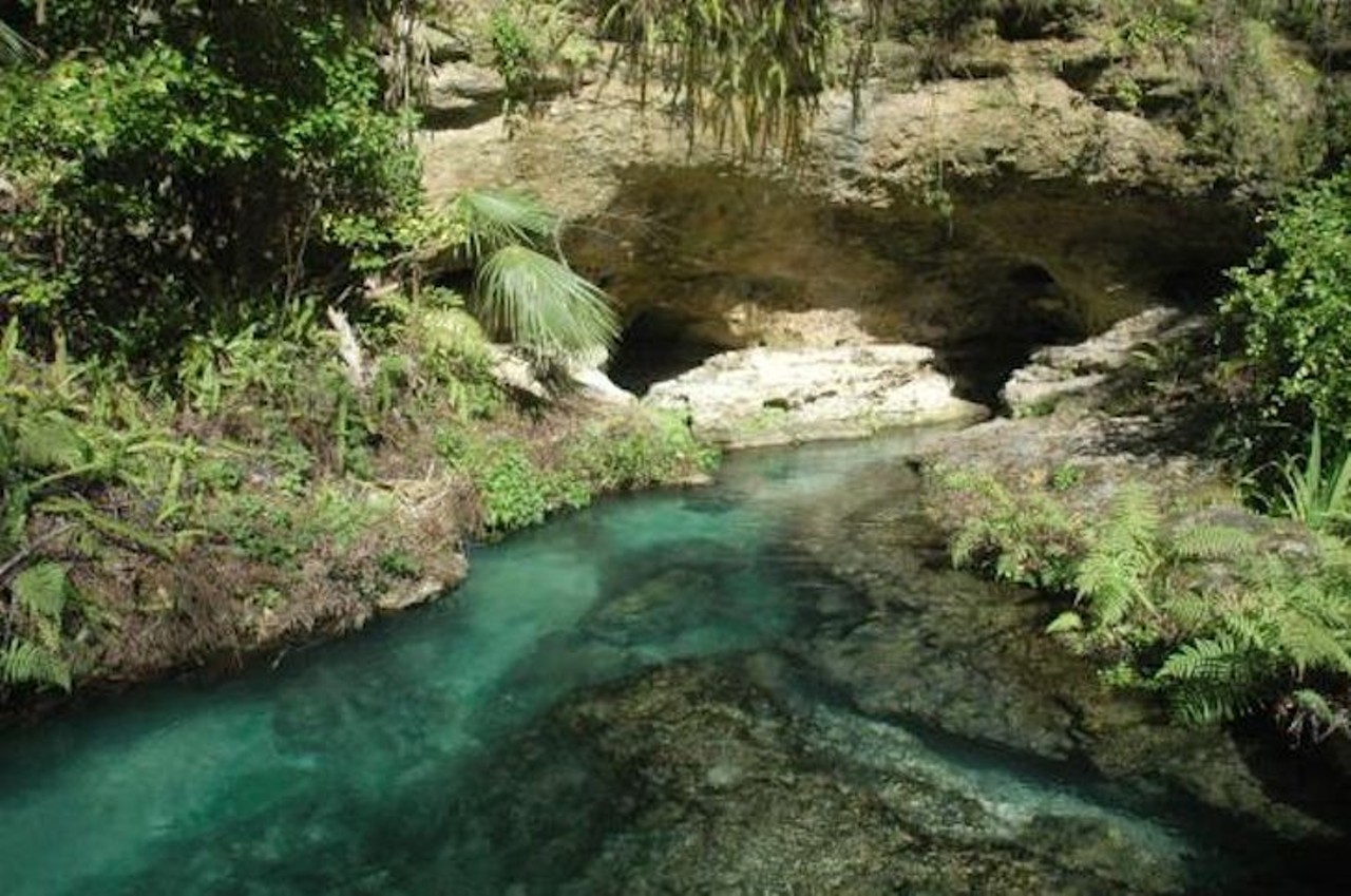 Tube down Rock Springs Run
400 E Kelly Park Rd, Apopka; 407-254-1902; floridasprings.org
Kelly Park&#146;s free-flowing spring creates a natural lazy river, leading tubers on a tour through the park. Tube rentals and concessions are available. 
Photo via Florida Springs
