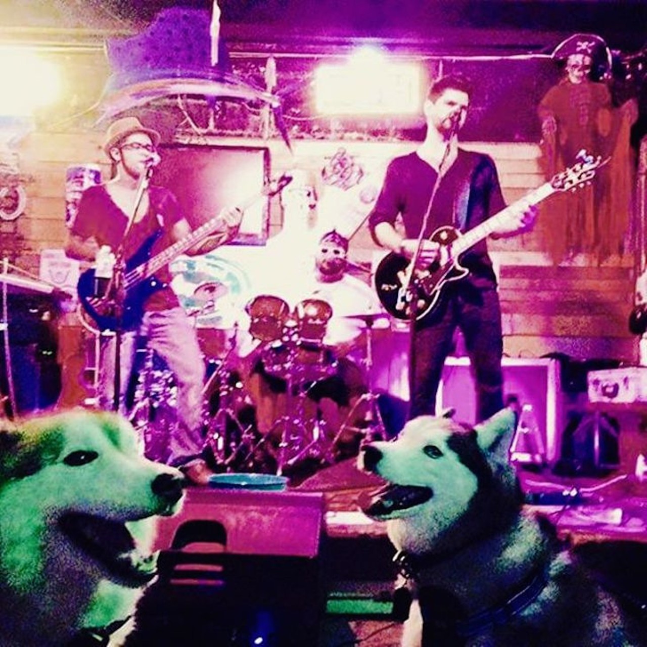 Belle Isle Yacht Pub
7521 S. Orange Ave. | 407-850-3491
Visit this neighborhood pub Tuesday through Saturday and both you and your hound are sure to find some tunes good enough to howl along with. 
Photo via belle_isle_yacht_pub/Instagram