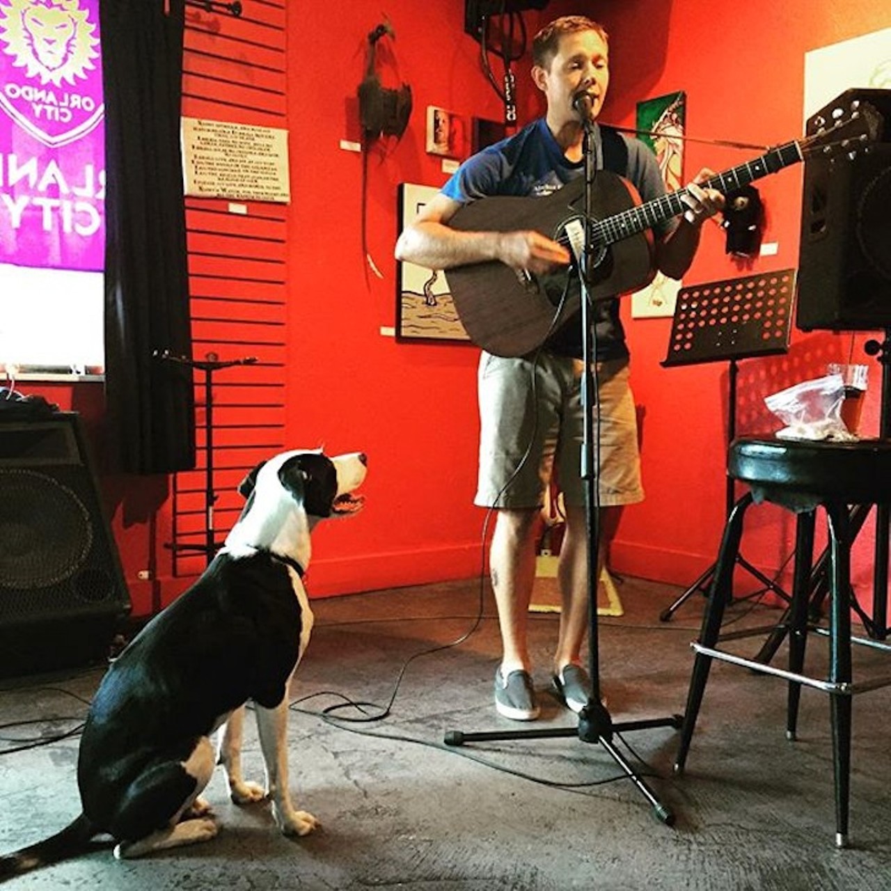 The Falcon
819 E. Washington St. | 407-423-3060
Here, you&#146;ll find finger and paw lickin' grub, plus plenty of art shows, musicians and watch parties for you and your pup to enjoy. 
Photo via thefalconbar/Instagram
