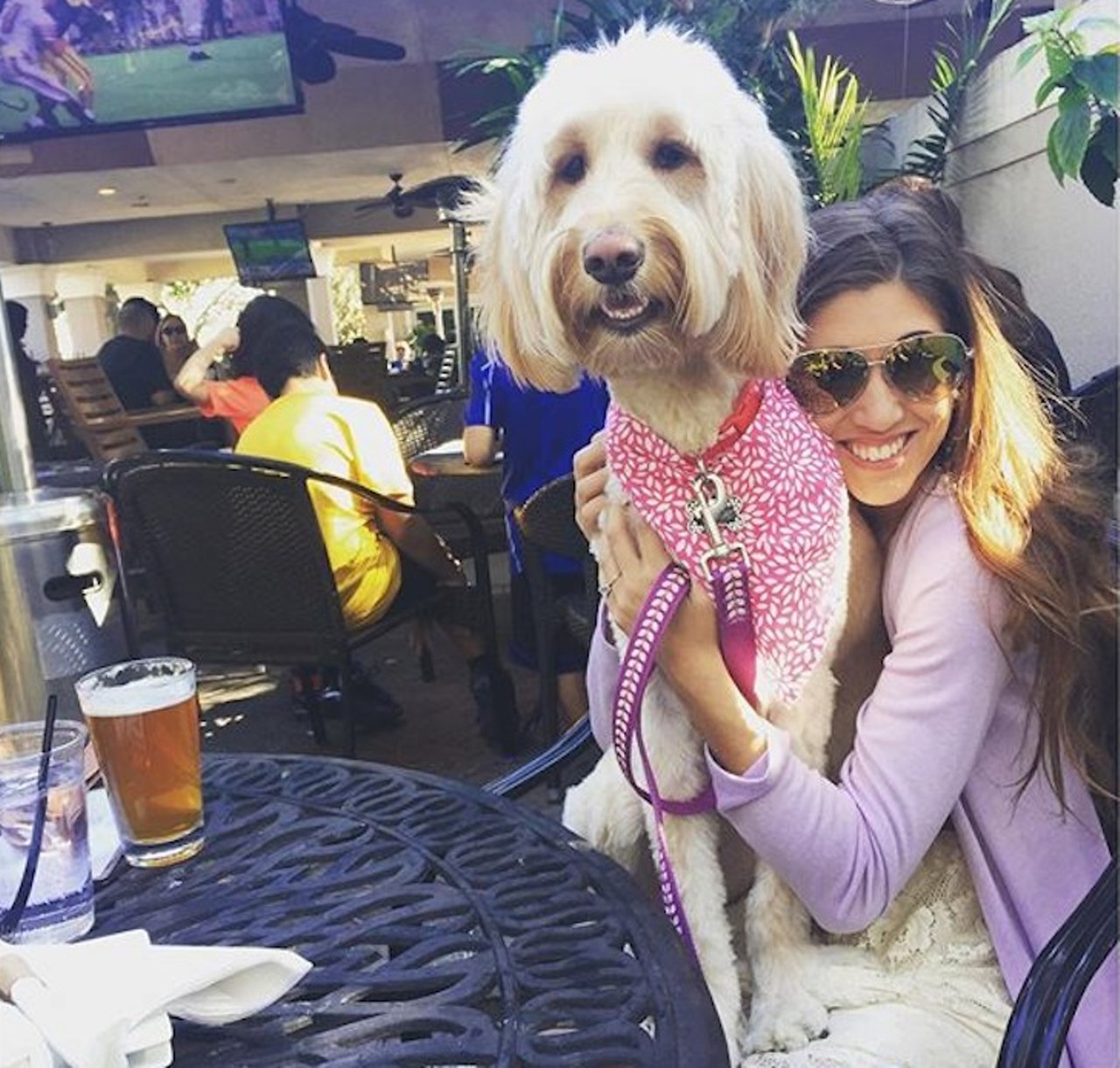 Teak Neighborhood Bar and Grill
6400 Times Square Ave. | 407-313-5111
Take a break from a night on the town with your furry friend and treat yourself to some locally crafted beers at Teak&#146;s.
Photo via jess_rae/Instagram