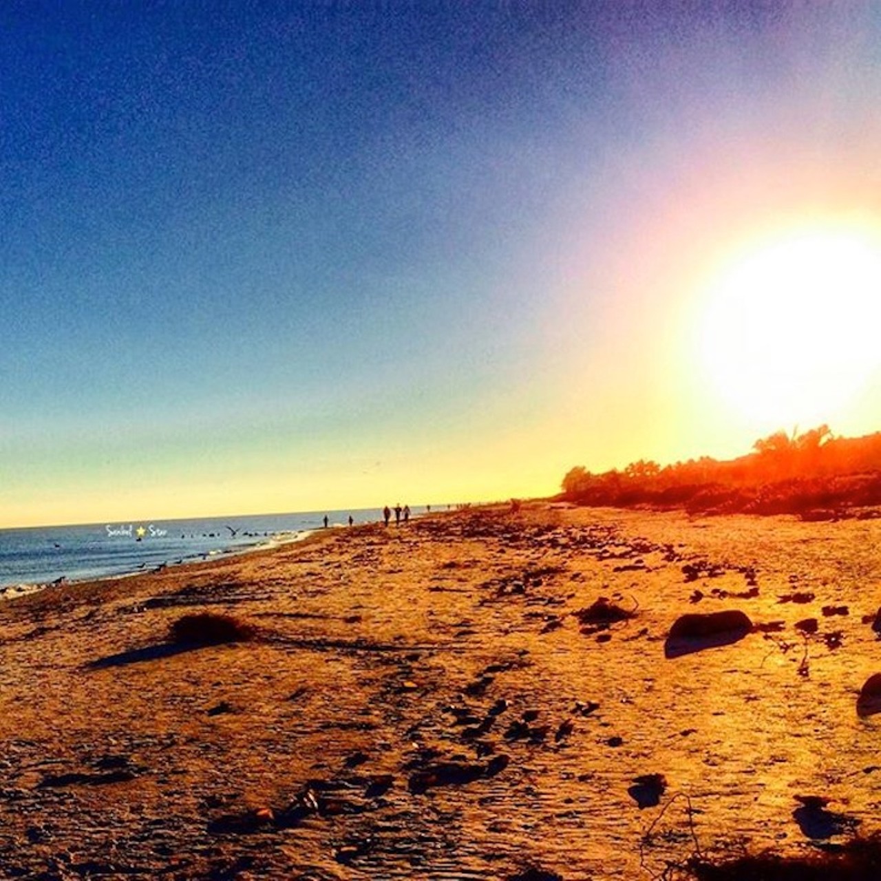 Captiva Island
Get ready to get captivated by Captiva Island. The bright white sand will have you walking for days, but the real draw here is the breathtaking sunset. Captiva Island is well-known for its shelling, so get clean out the shell bucket, explorers.
Photo via sanibelstar/Instagram