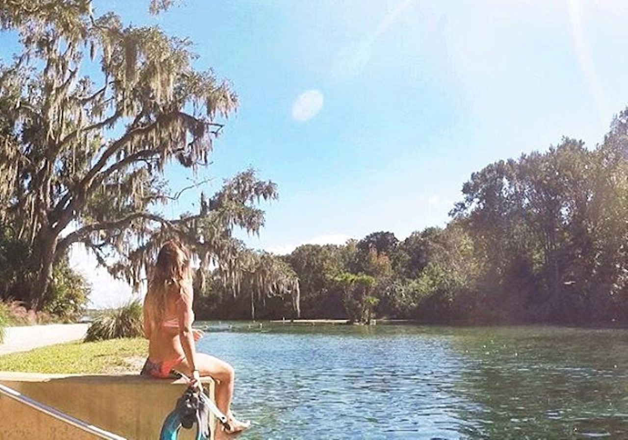 Salt Springs
13851 N. SR 19, Salt Springs, FL 32134
1 hour, 33 minutes from Orlando
In case the name didn&#146;t clue you in, you&#146;ll want to keep your mouth and eyes closed as you swim through this unusually salty spring. If you don&#146;t want to risk it, canoe your way through the waters or take a hike on the park&#146;s trails instead. Fishing is a-okay as long as you stay away from the swimming areas and have a Florida Freshwater Fishing License.
Photo via mikkcakee on Instagram