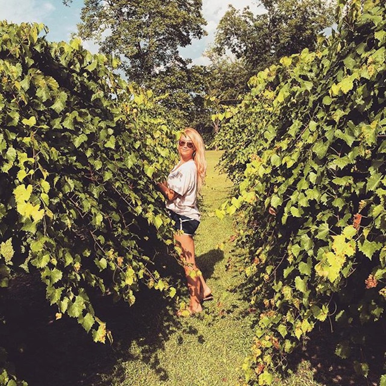Chautauqua Vineyards & Winery
364 Hugh Adams Road, DeFuniak Springs | 850-892-5887
If you find yourself in the Florida Panhandle, stop by this winery for free daily wine tastings and tours. 
Photo via ksydxoxoxo/Instagram