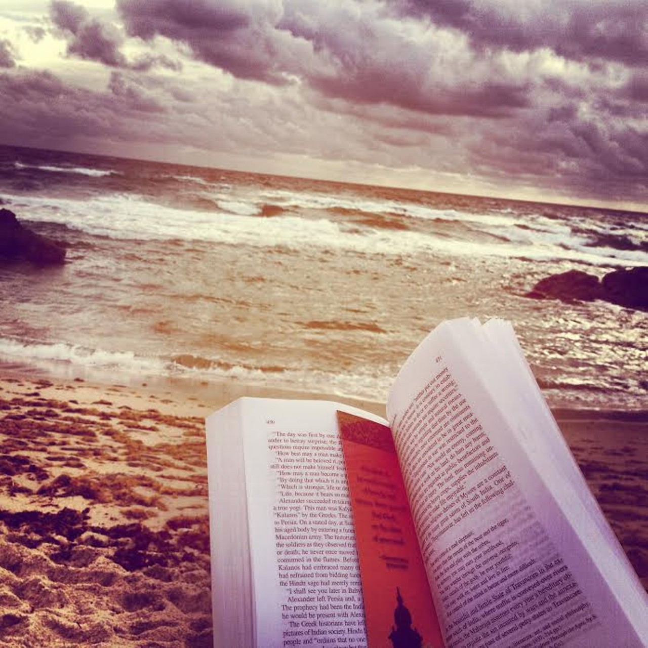Beach reading