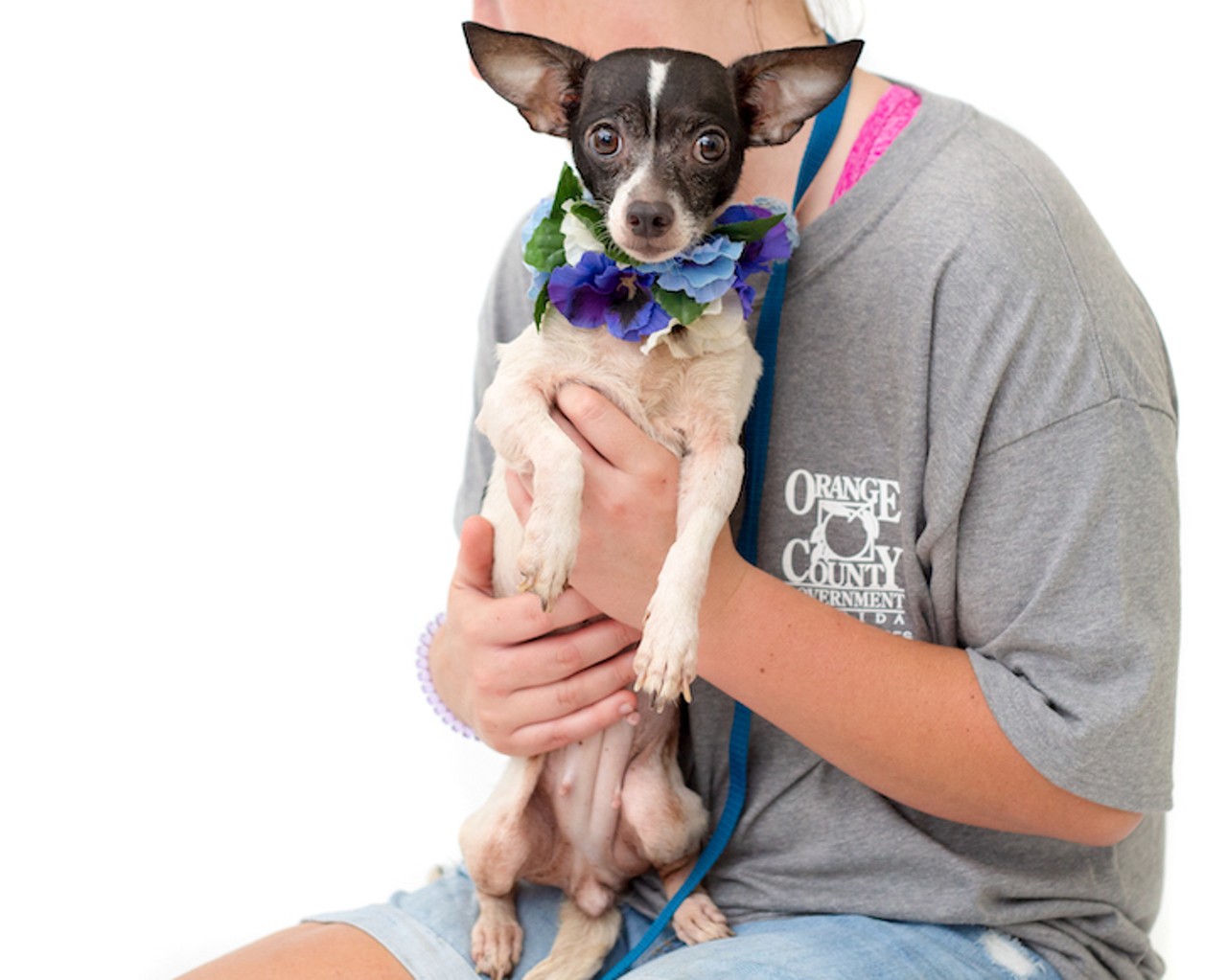 30 adoptable Orlando puppers who need lots of hugs