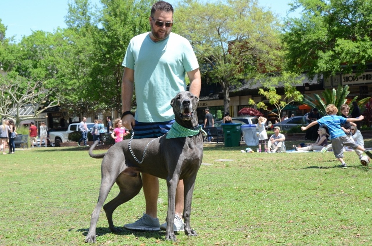 30 adorable photos from the 13 Annual Doggie Art Festival