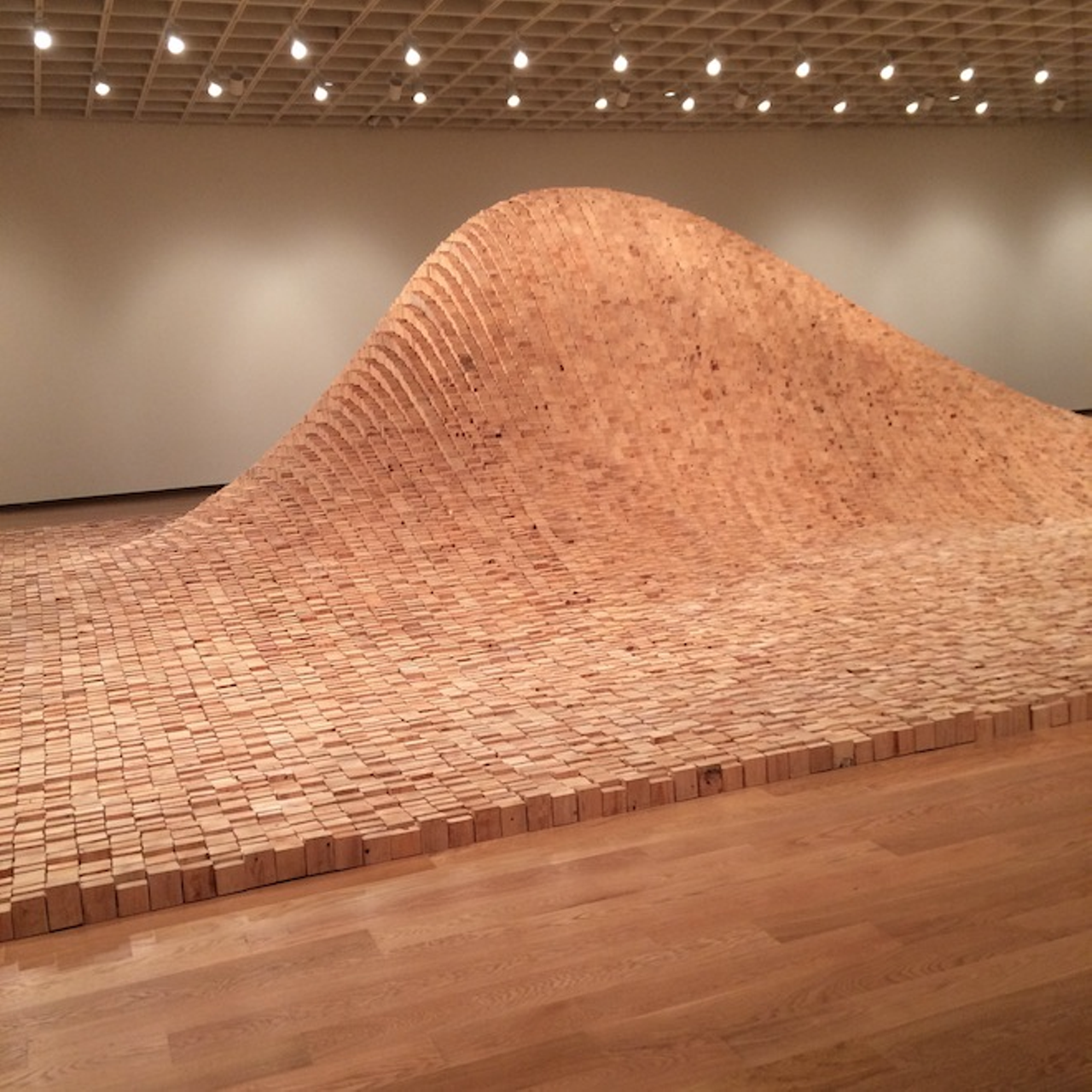 Huge installation "2x4 Landscape" from Maya Lin exhibition The History of Water at Orlando Museum of Art