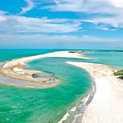Cayo Costa State Park     4 hours away    Only accessible through a boat or kayak (for the brave ones), this untouched beach is the perfect spot for bird watching and bicycling trails. Visitors can take a ferry from several of the mainland locations.         Photo via Cayo Costa Ferry/Website