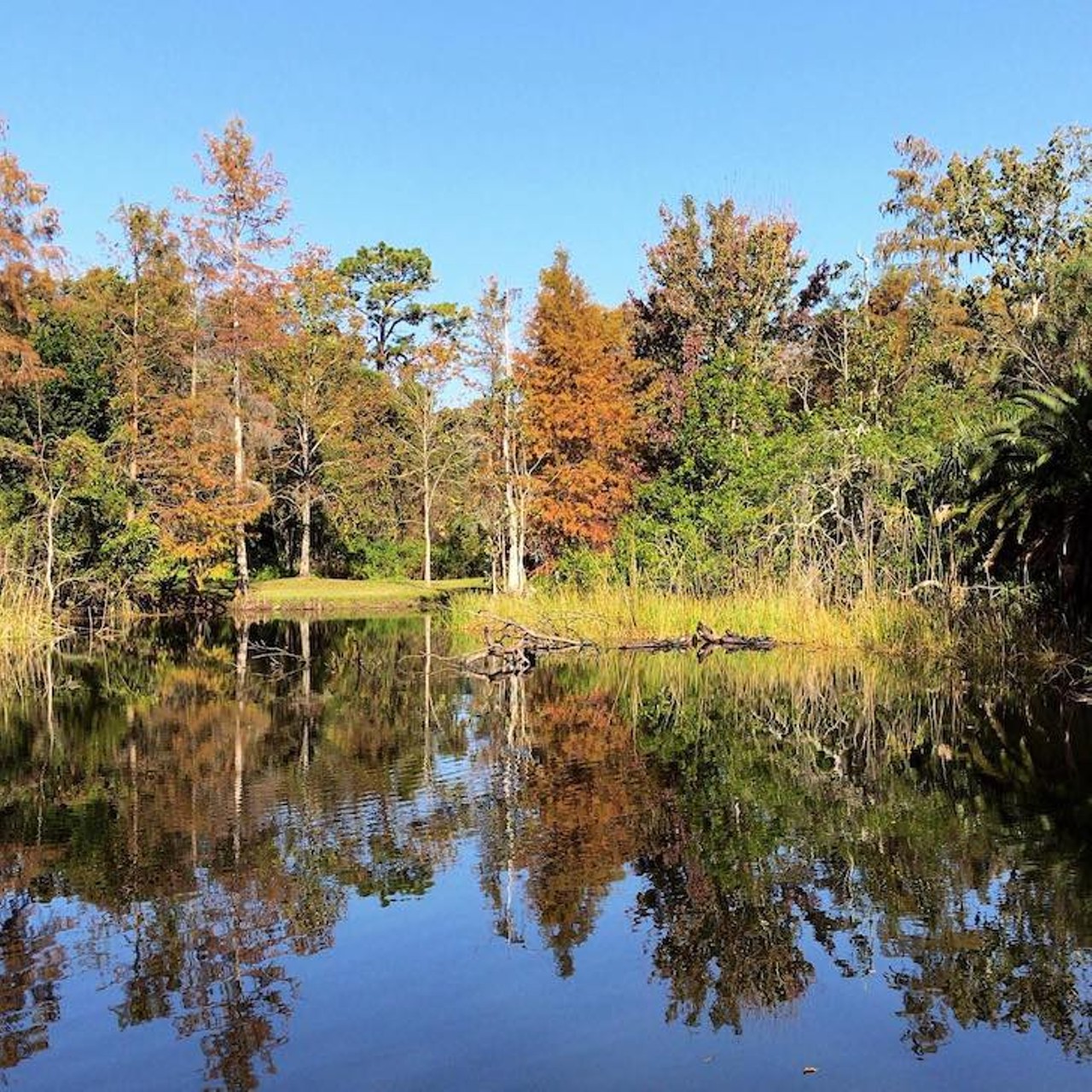 Mead Botanical Garden 
1300 S. Denning Drive, Winter Park
Mead Botanical Garden is a 47.6-acre park that offers a variety of facilities including an amphitheater, butterfly garden, boardwalk, and a bike trail. It also provides a stunning, natural backdrop to any photo you desire, from its lush trees to its pathways overlooking a lake.
Photo via Mead Botanical Garden/Facebook