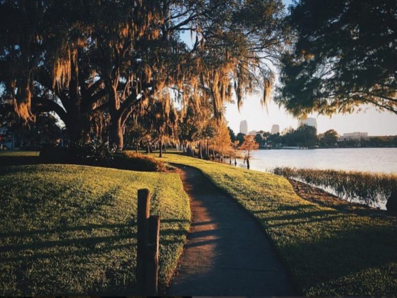 @igers_orlando | Instagramers of Orlando is the official Orlando Instagram community.