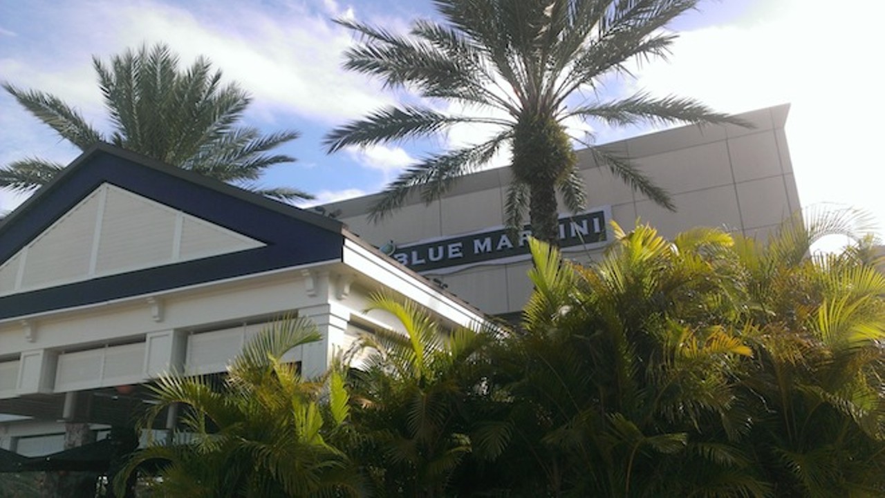 Blue Martini (4200 Conroy Road, Suite H-246)