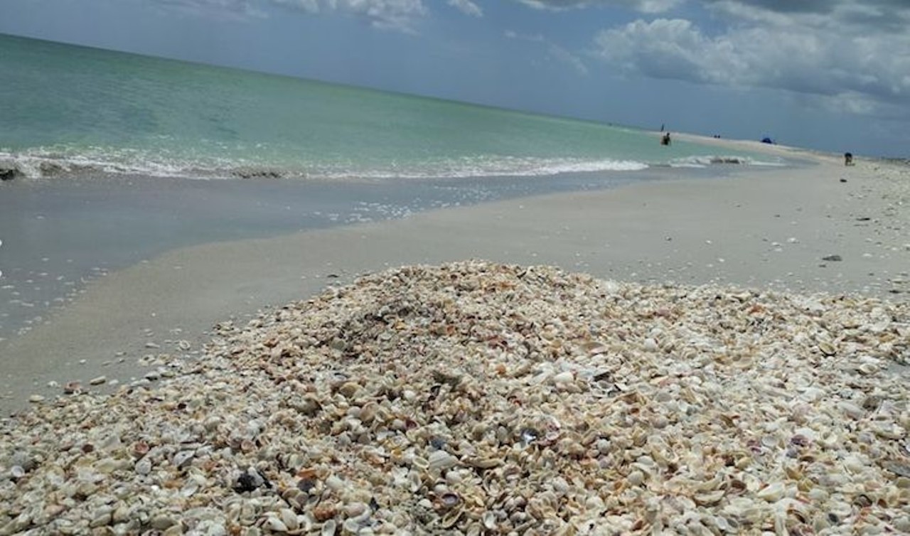 Bowman&#146;s Beach
Four hours from Orlando
If you&#146;re looking for a perfect spot to hunt seashells, look no further. This location features clear blue waters with shells in a multitude of sizes and colors along the sandy shores. 
Photo via Andrew D./Yelp