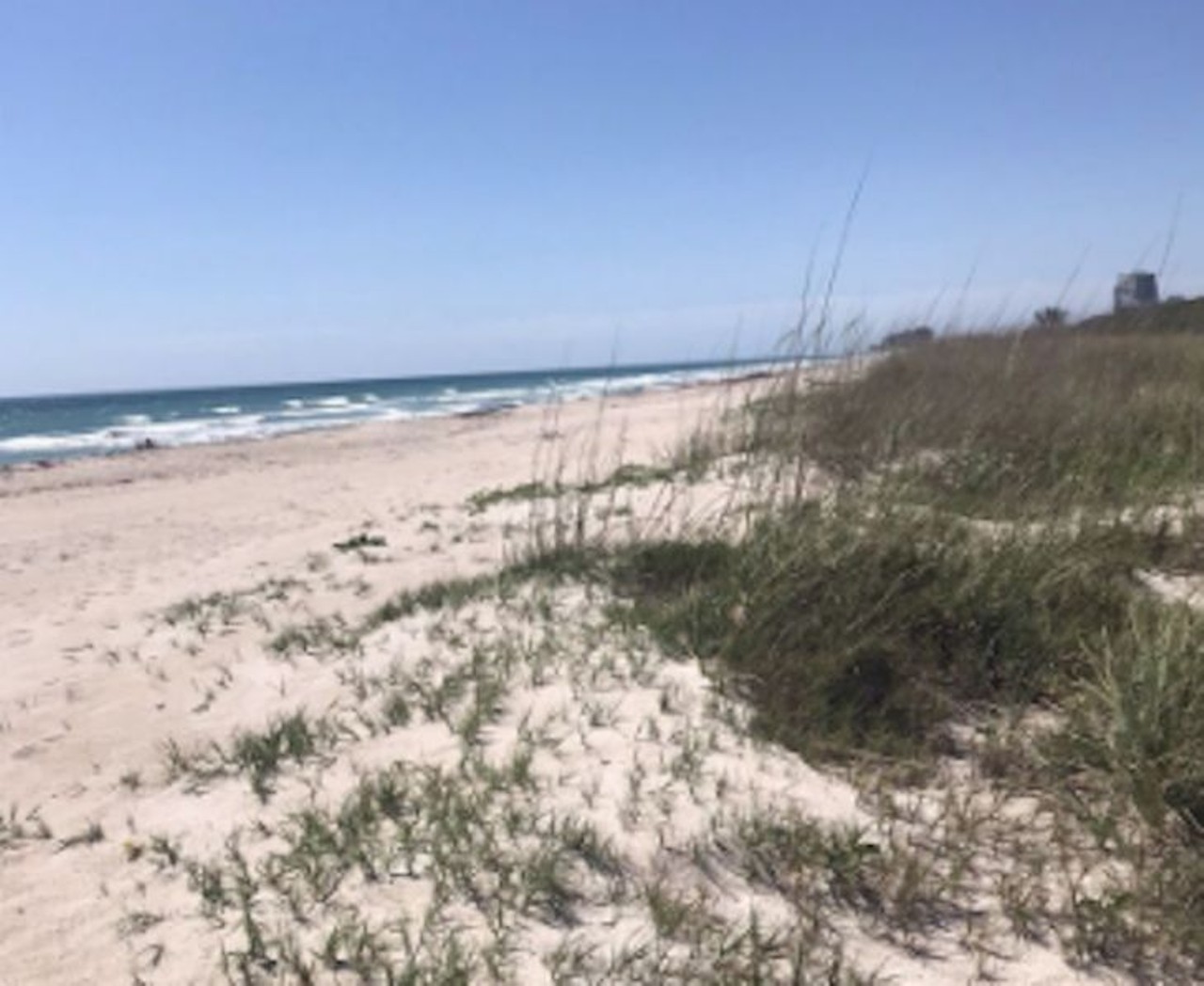 Avalon State Park
Two hours from Orlando
For only $2 in parking fees a day, enjoy these isolated sandy dunes with picnic areas and cool breezes. Light waves also make this location great for wakeboarding or surfing.
Photo via Missy H./Yelp