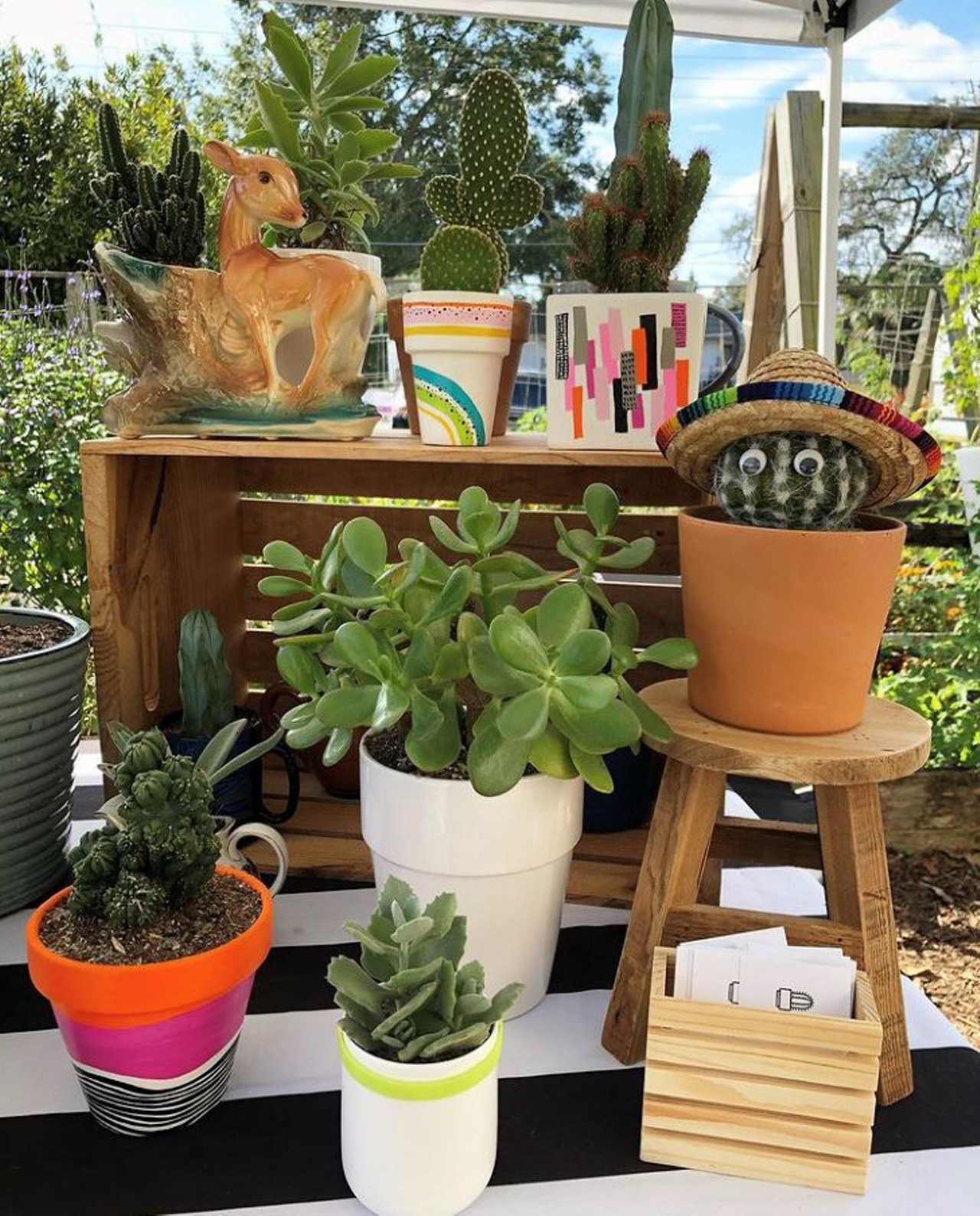 Galentine&#146;s Day with Ouch. Plants that Hurt. and Echoes of Retro 
Echoes of Retro, 627 Virginia Drive
Celebrate Galentine&#146;s Day on Feb. 13 from 2-5 p.m., surrounded by cute plants, vintage clothes, and complimentary cocktails.
Photo via Ouch.Plants that Hurt/Instagram