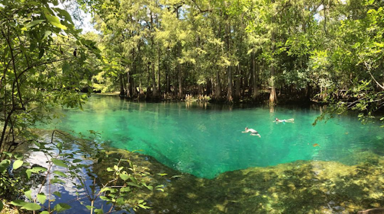 Manatee Springs State Park
11650 NW 115th St., Chieflandabout two hours away
Photo via campfolks/Instagram