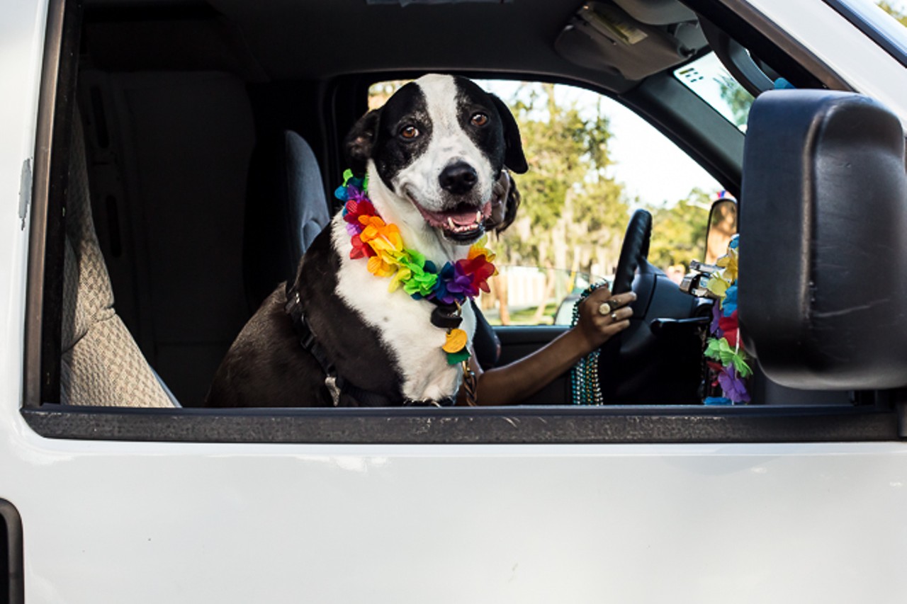 Assistant Editor Dog Tucker sitting in the Orlando Weekly van during the Come Out With Pride parade