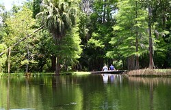 5 peaceful places in Orlando to spend Memorial Day outdoors