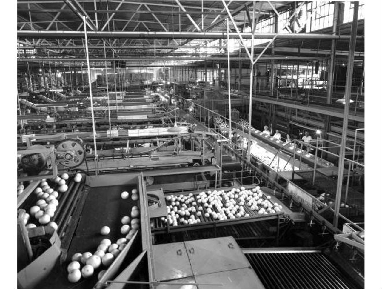 Interior view of Minute Maid processing plant