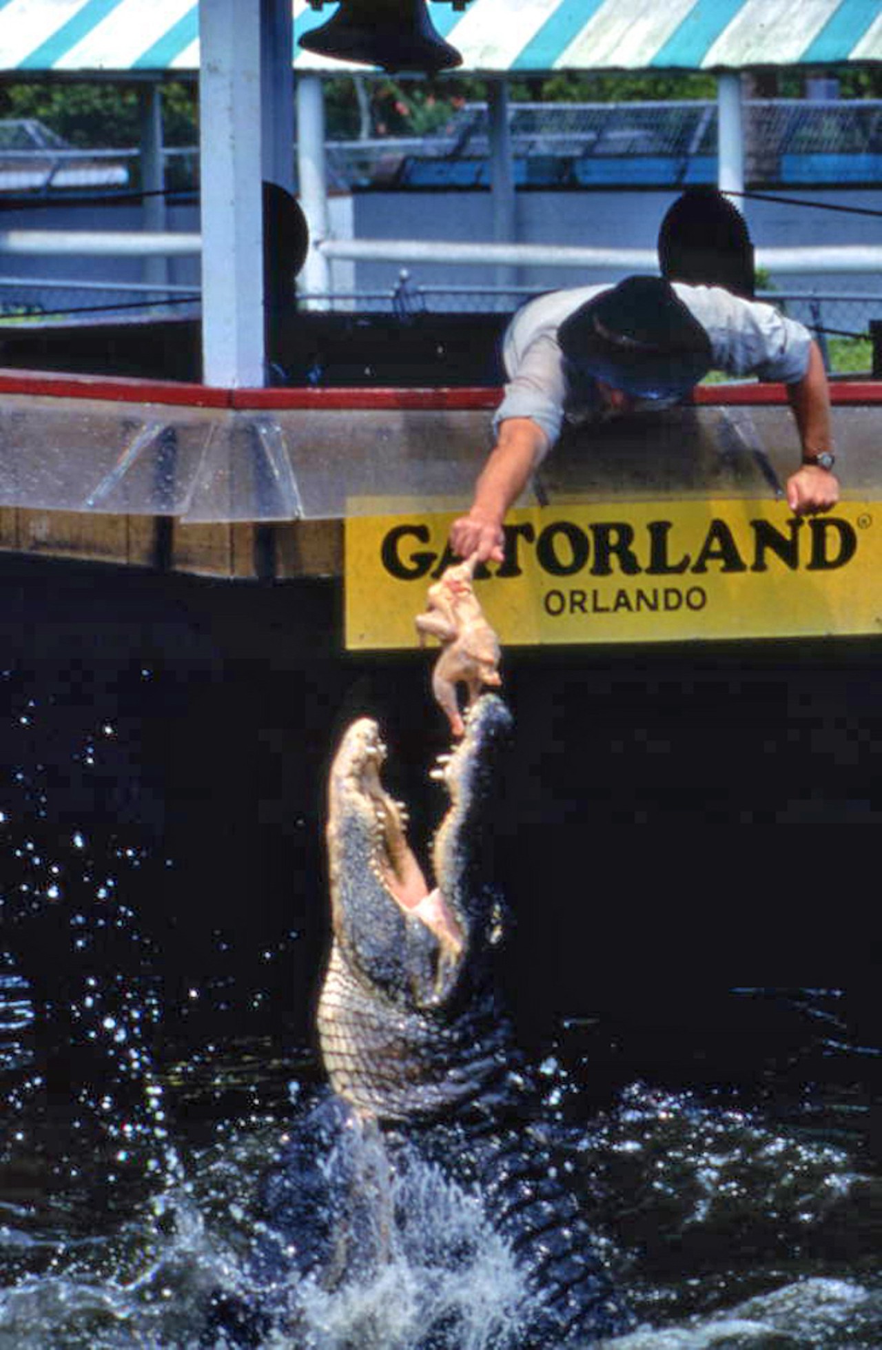 70 years of jaw-snapping thrills: These vintage photos of Gatorland show how far the park has come