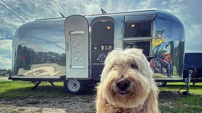 Airstream pop-up Cups and Pups Coffee to take over space of College Park's Gratitude Coffee