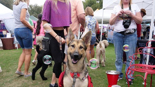 Paws in the Park, a fundraising festival by Pet Alliance of Greater Orlando, will take place May 8 in Lake Eola Park at 10 a.m.