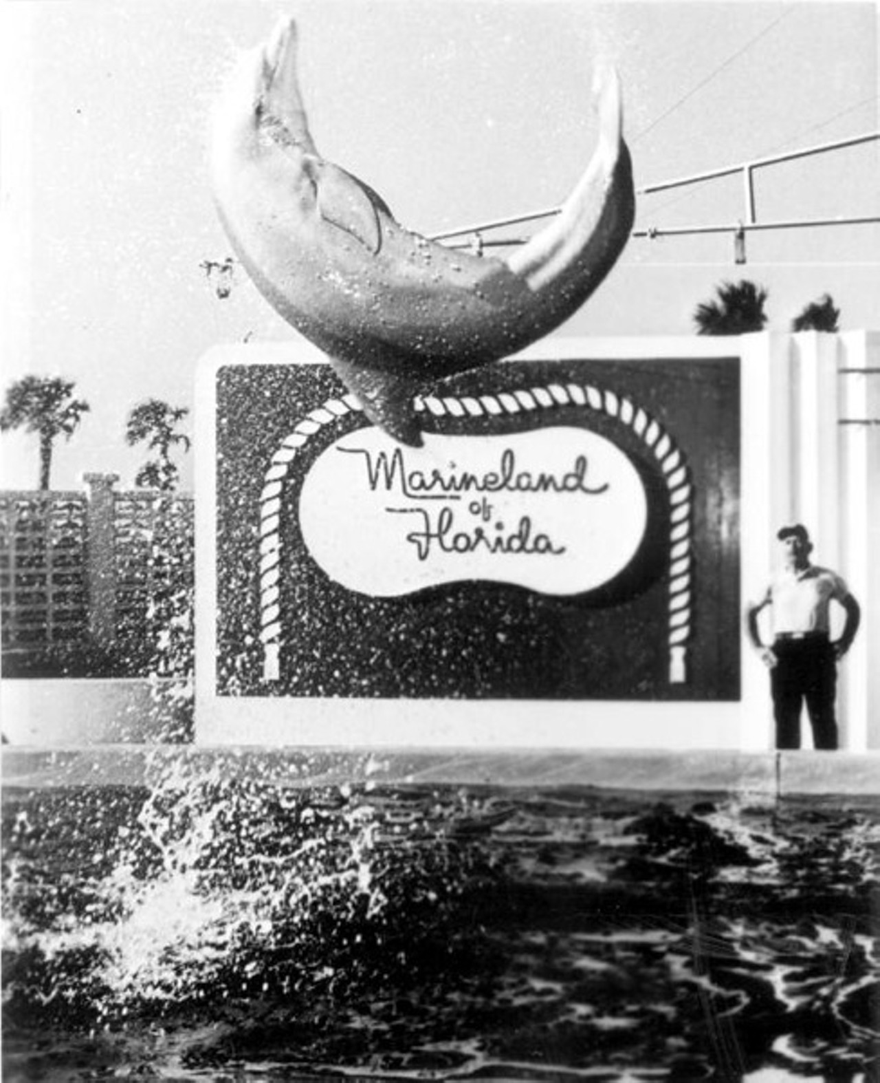 Marineland Florida
Marineland Florida was kind of like a low-rent Sea World, located about 20 miles south of St. Augustine. The park was opened to the publis in 1938 and was originally called Marine Stusios, as it was built as an underwater studio for filming marine life.