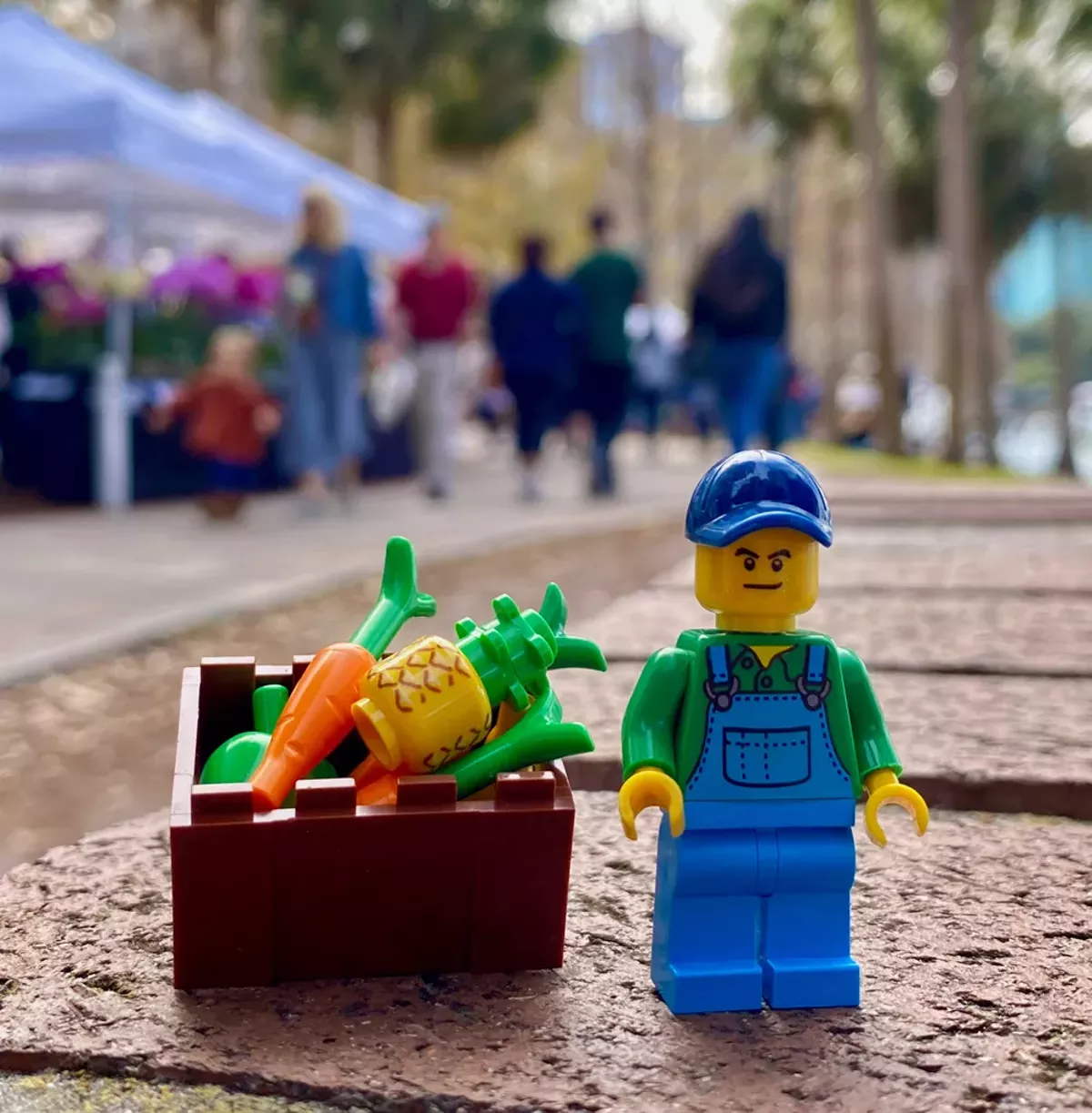Image: Best Farmers Market