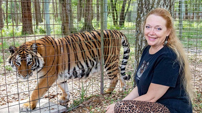 Florida's Big Cat CEO Carole Baskin will take over Joe Exotic's tiger zoo