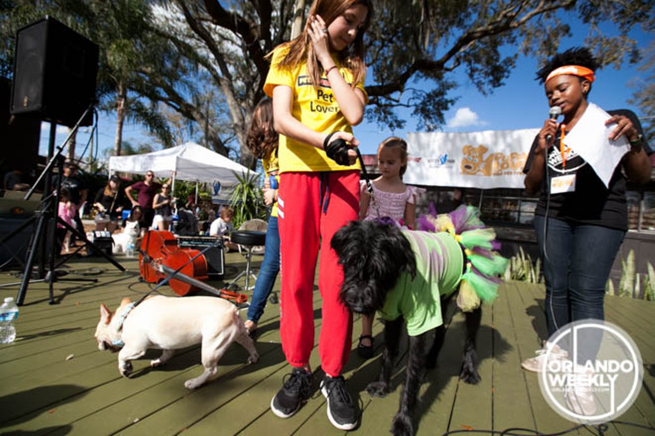 Costume contests, tricks, music and more: 53 fun photos from the Puppy Love Festival