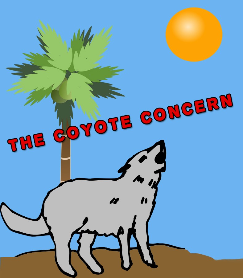 Coyotes in Windermere