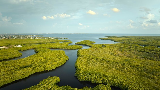 DeSantis approves $1.5 billion from Florida budget for Everglades restoration