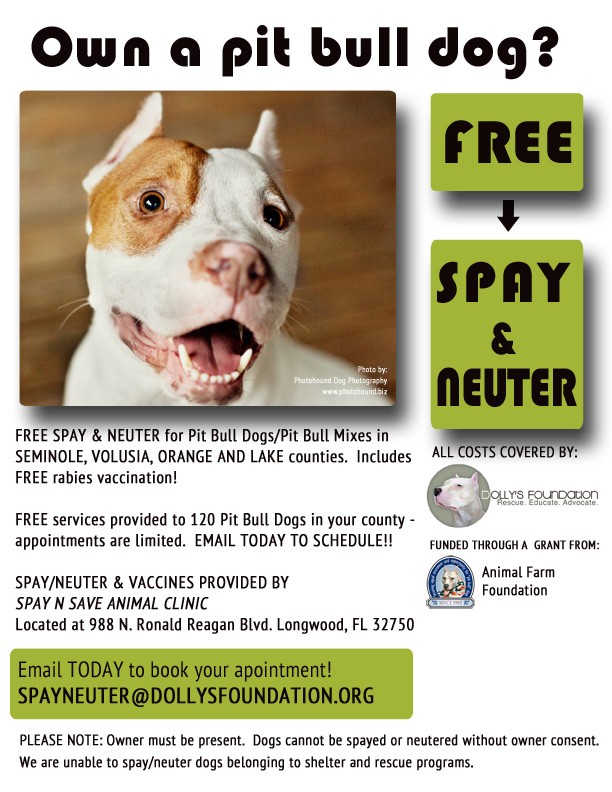 Dolly's Foundation offering FREE spay/neuter for pit bulls
