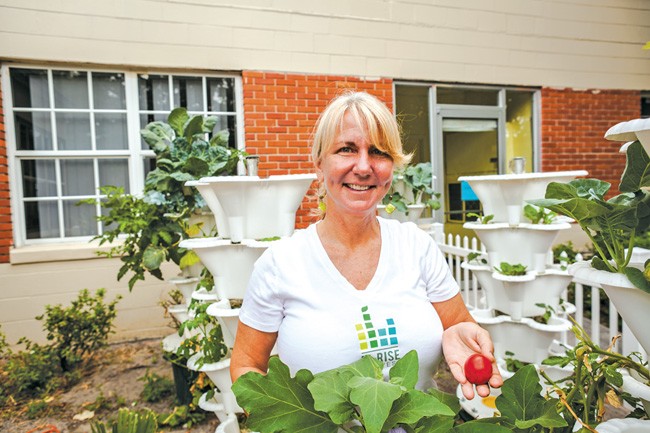 Donation brings hydroponic gardening to women's shelter