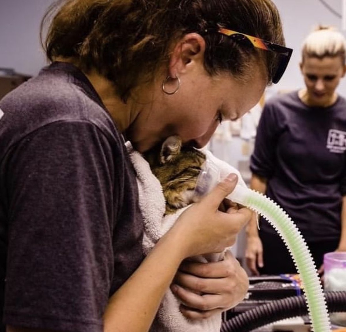 Fire at Pet Alliance of Greater Orlando reveals that this is a cat-loving town