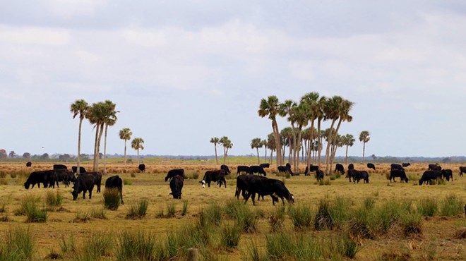 Florida approves plan to spend $19 million to conserve rural land
