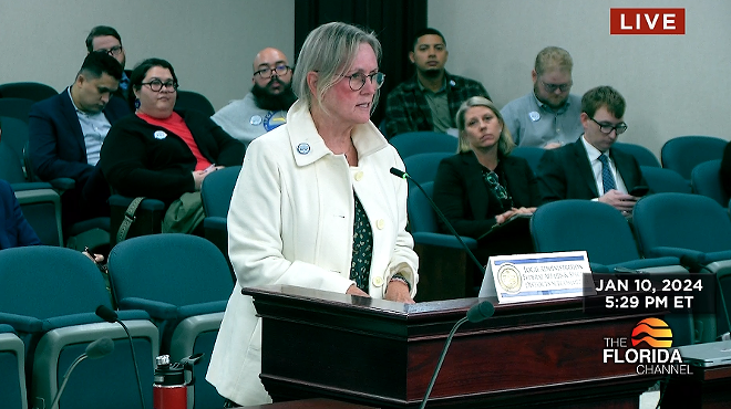 School teacher Ellen Baker speaking in opposition to a bill that would weaken child labor law.