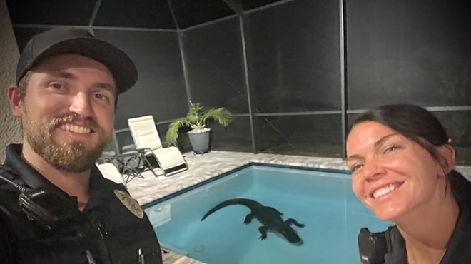 Florida officials remove 10-foot alligator from homeowner's pool