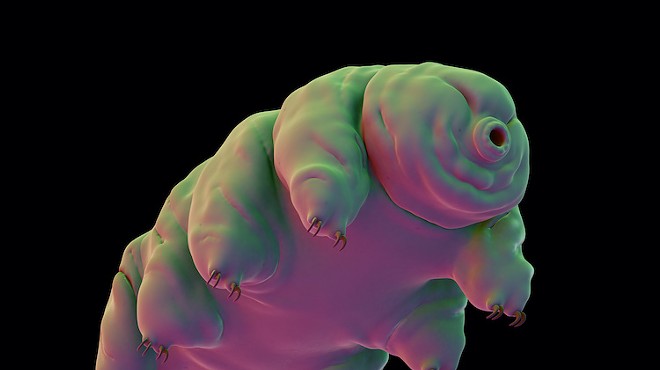 "I believe you will be as hardy and adaptable as a tardigrade in the coming months, Cancerian."