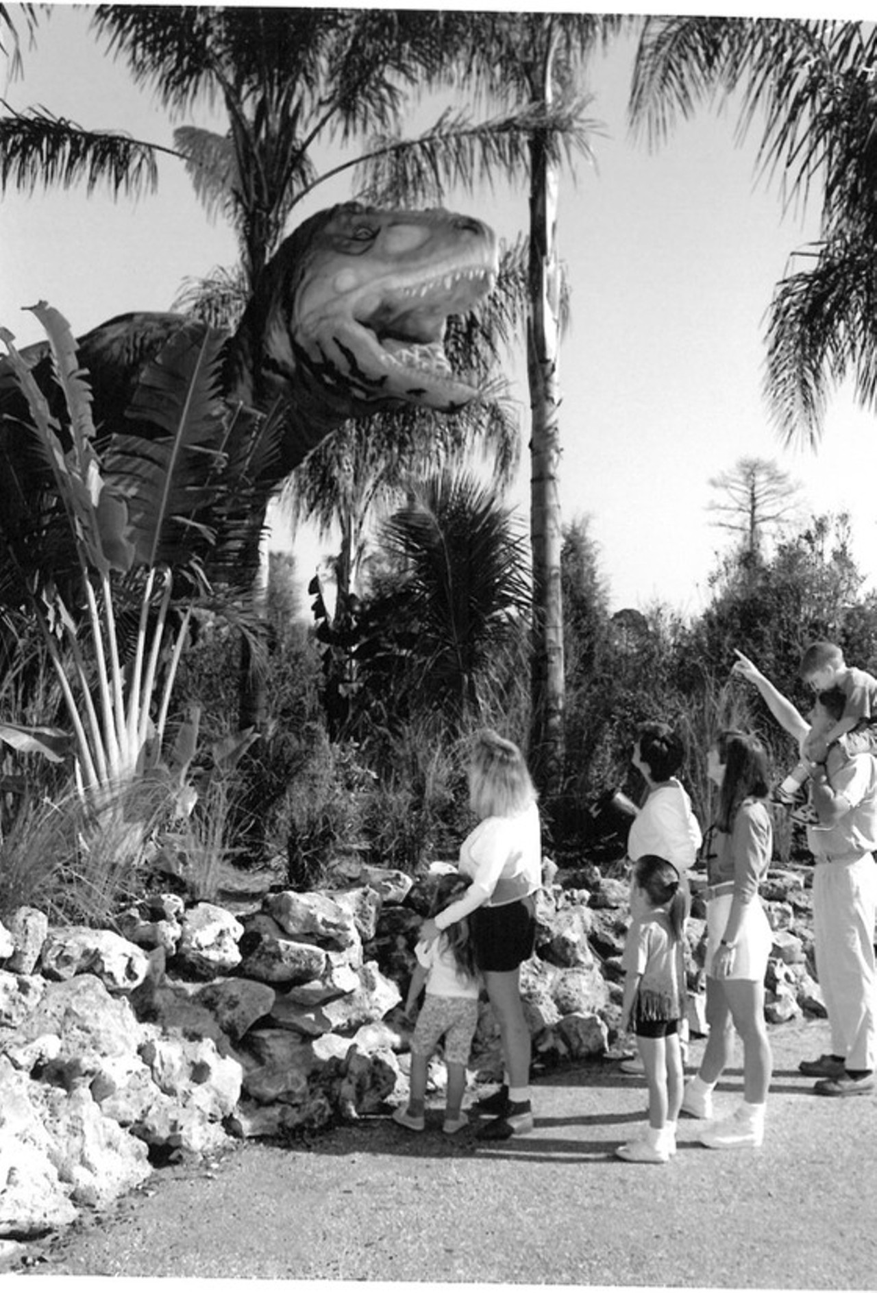 From the archives: Vintage photos of SeaWorld Orlando in the early '90s