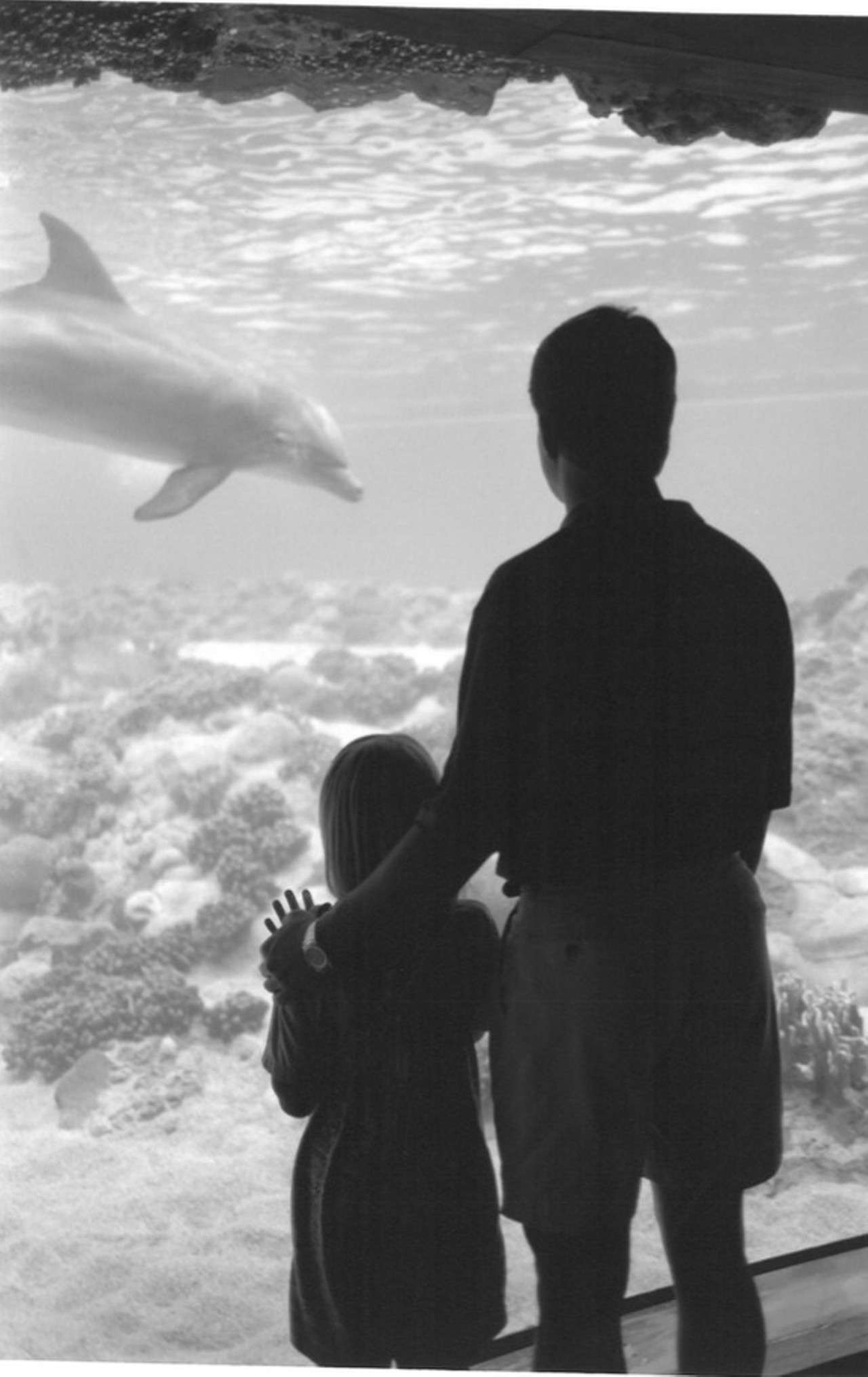 From the archives: Vintage photos of SeaWorld Orlando in the early '90s